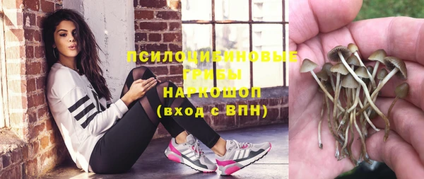 каннабис Зеленокумск