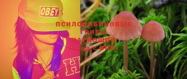 каннабис Зеленокумск